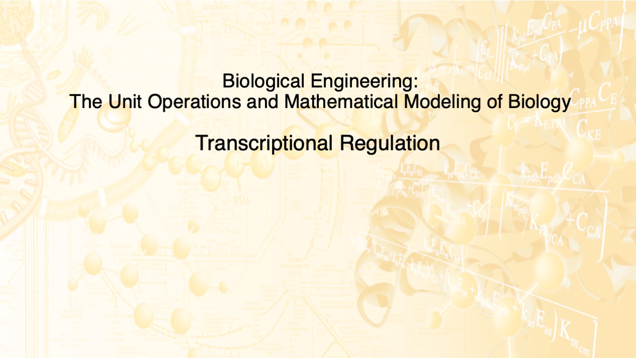 Transcriptional%20Regulation
